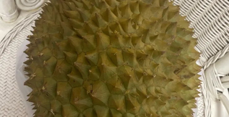 榴莲 水果生鲜美食