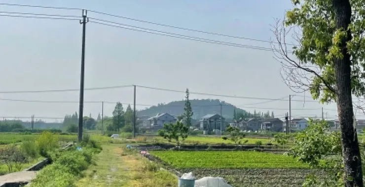 田间小路风景照片