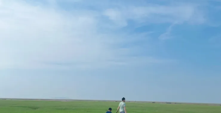 杭州湾赶海抓螃蟹风景照滩涂