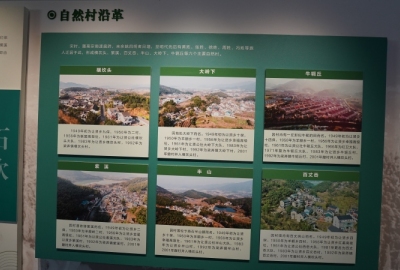 SimilarPics