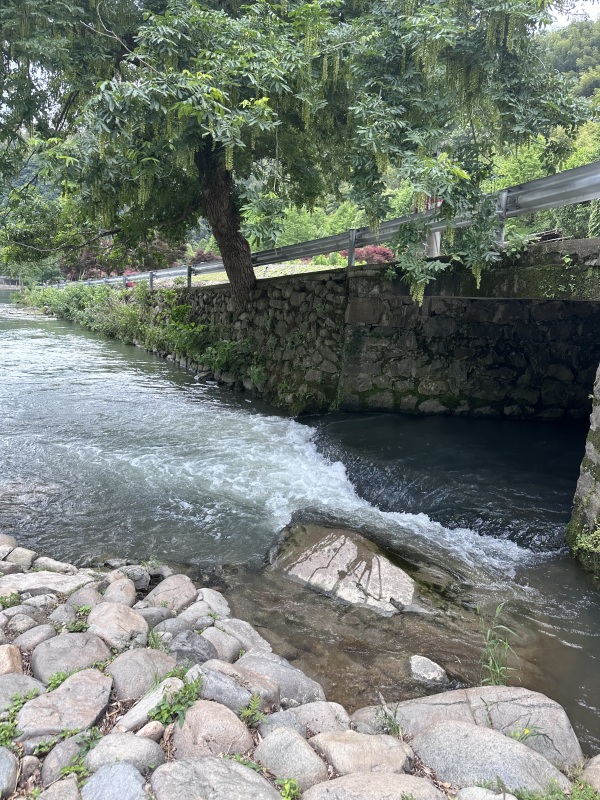 余姚非遗鹿亭古村落中村