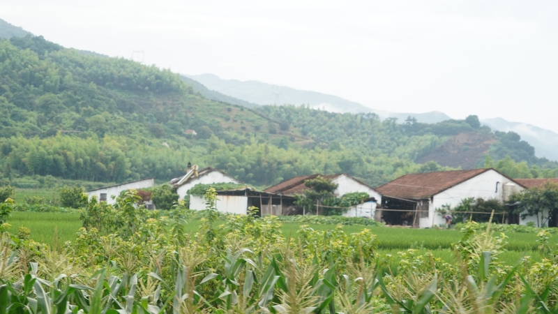 梁弄农村自然村庄山里乡村自建房