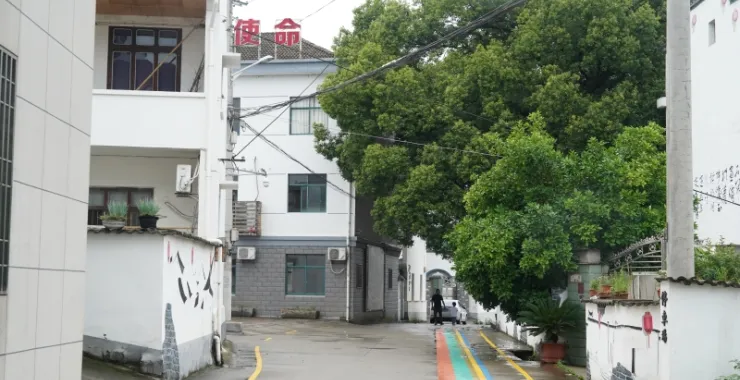 梁弄汪巷农村自建房