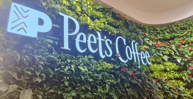 皮爷咖啡LOGO店招