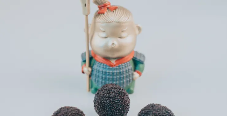 余姚特产水果杨梅摆拍