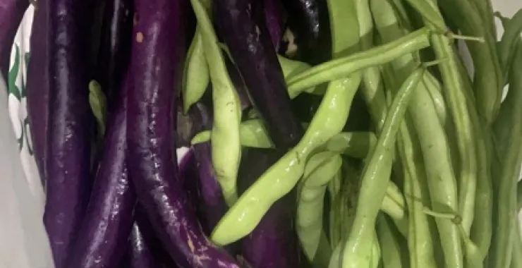 蔬菜茄子梅豆