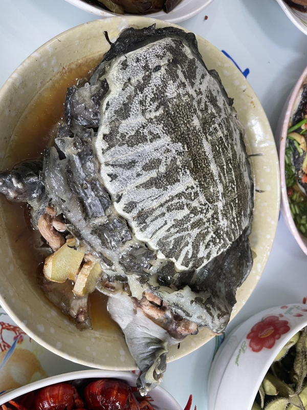 清蒸甲鱼家常菜
