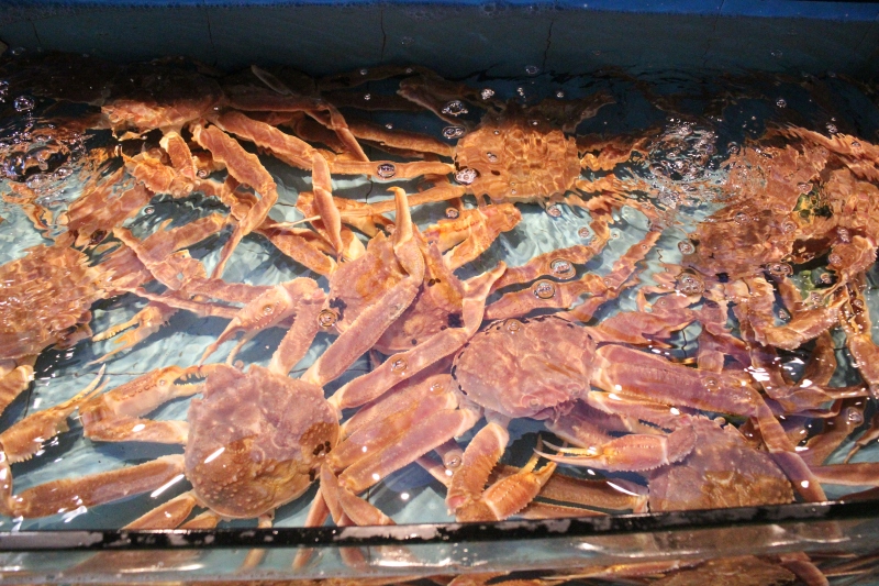 长脚蟹 海鲜