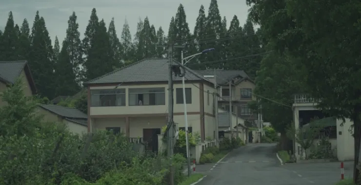 杭州余杭区新农村自建房别墅