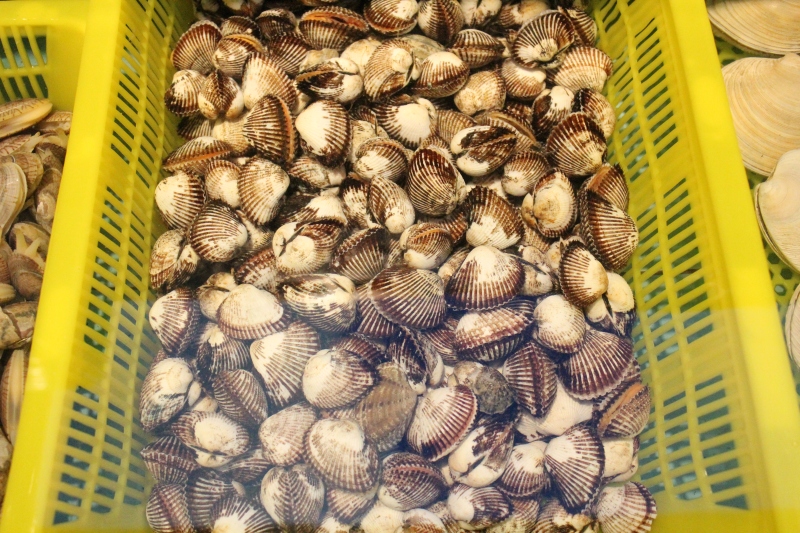 奉蚶贝壳类海鲜