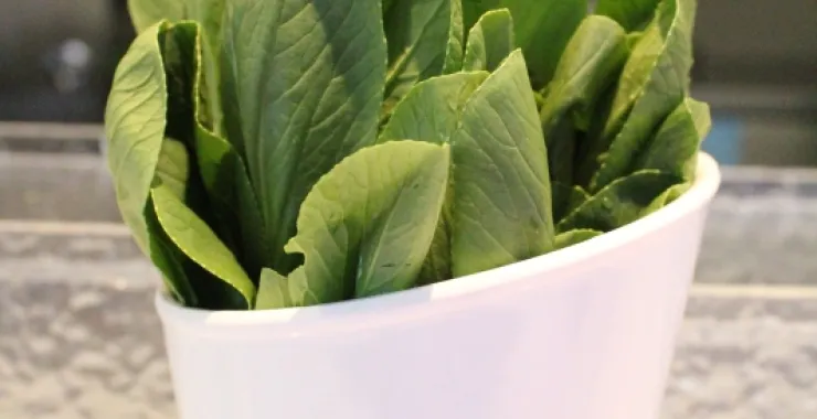 火锅涮菜青菜