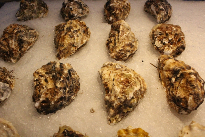生蚝新鲜海鲜