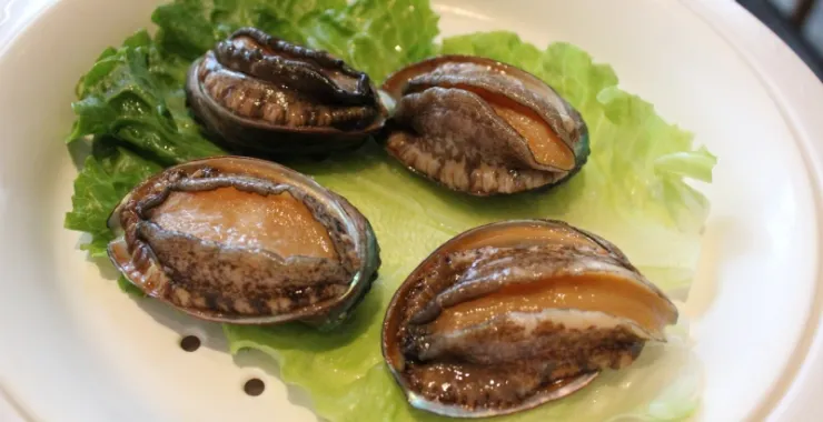 鲍鱼细节图蒸海鲜
