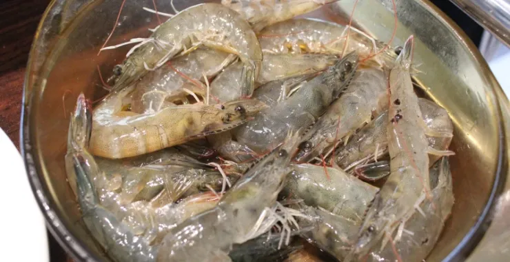 对虾蒸海鲜