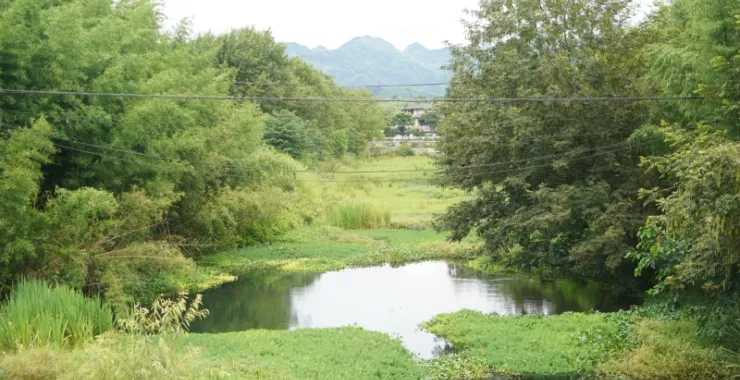 夏天避暑小溪山间凉爽山里