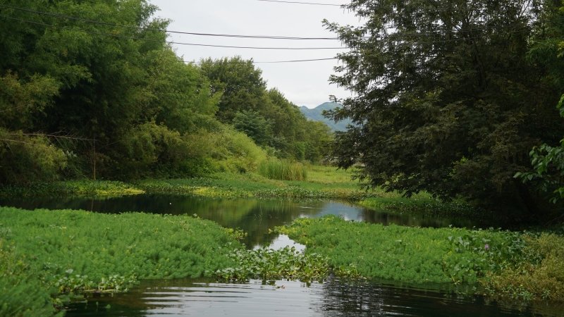 夏天避暑小溪山间凉爽山里