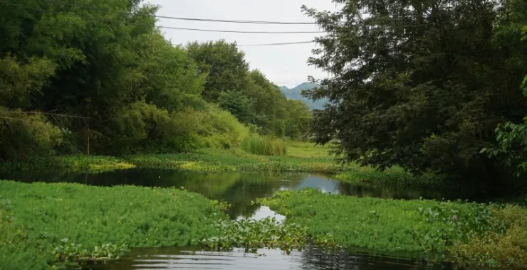 夏天避暑小溪山间凉爽山里