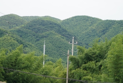 SimilarPics