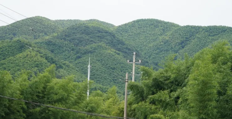 夏天避暑山野山间凉爽竹林山里