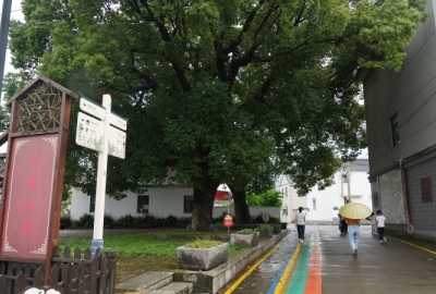 梁弄汪巷村