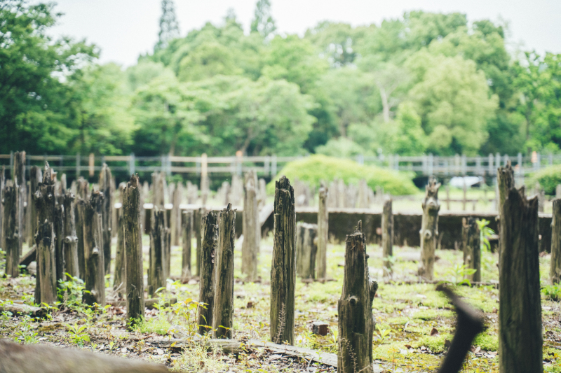  余姚河姆渡遗址古村落