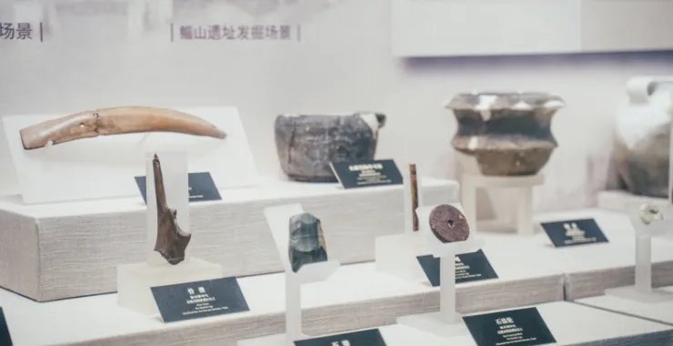 余姚博物馆展品文物