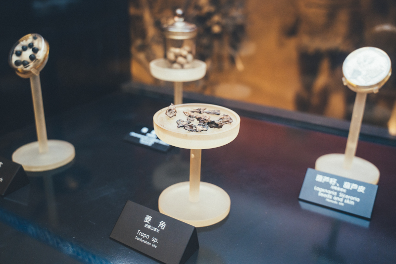 余姚博物馆展品文物菱角