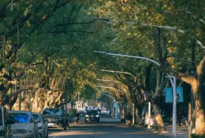 余姚北滨江路夏天绿植道路停车位车辆