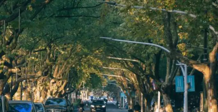 余姚北滨江路夏天绿植道路停车位车辆